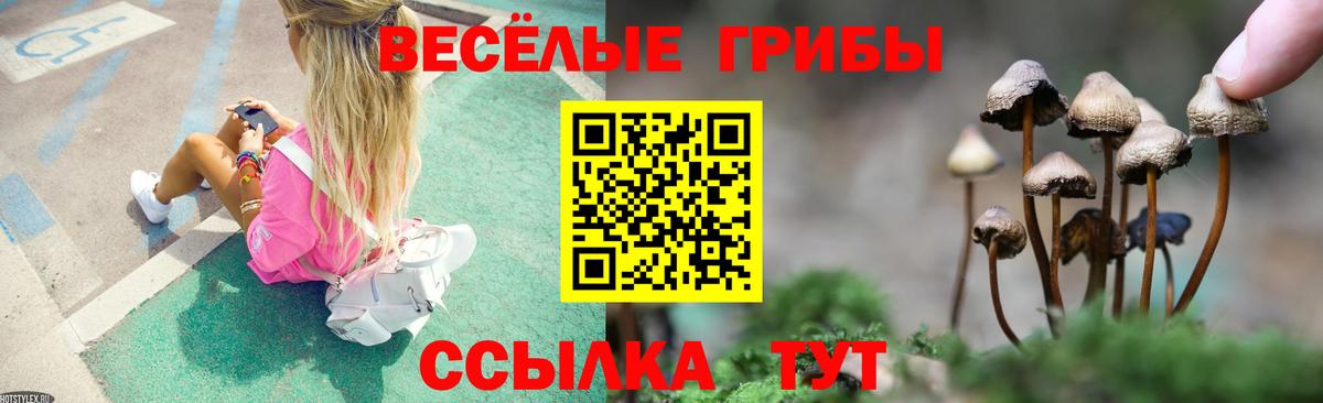 Галлюциногенные грибы мицелий  Вход с VPN  купить наркотики цена  Кстово 